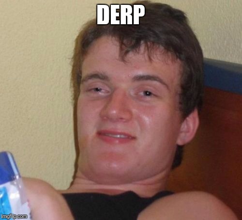 10 Guy Meme | DERP | image tagged in memes,10 guy | made w/ Imgflip meme maker