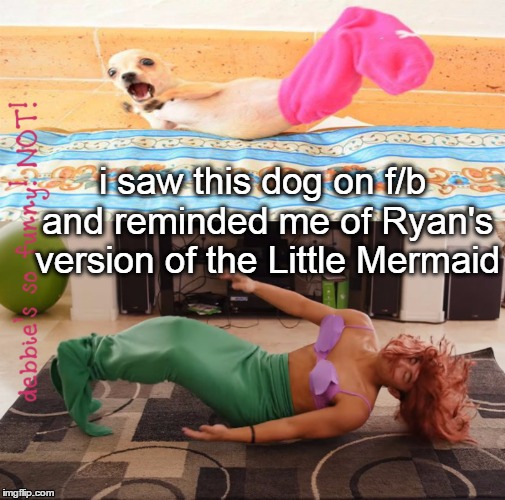 the lil barkmaid | i saw this dog on f/b and reminded me of Ryan's version of the Little Mermaid | image tagged in ryan higa,niga higa,teehee,rhpc | made w/ Imgflip meme maker