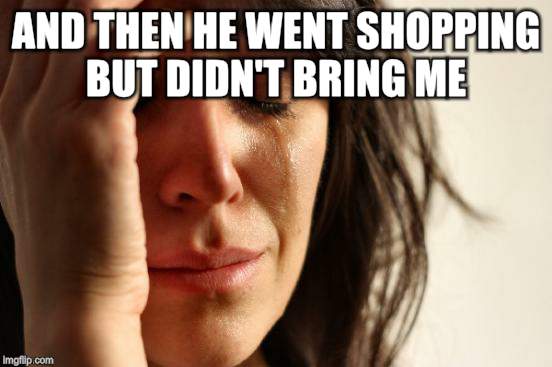 First World Problems Meme | AND THEN HE WENT SHOPPING BUT DIDN'T BRING ME | image tagged in memes,first world problems | made w/ Imgflip meme maker