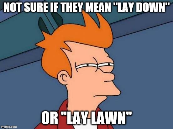 Futurama Fry Meme | NOT SURE IF THEY MEAN "LAY DOWN" OR "LAY LAWN" | image tagged in memes,futurama fry | made w/ Imgflip meme maker