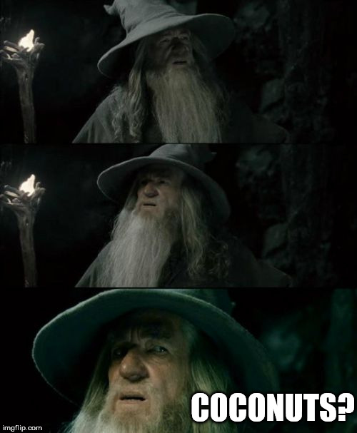Confused Gandalf Meme | COCONUTS? | image tagged in memes,confused gandalf | made w/ Imgflip meme maker