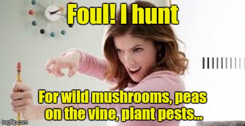 That Deserves a Shot to the Head | Foul! I hunt For wild mushrooms, peas on the vine, plant pests... | image tagged in that deserves a shot to the head | made w/ Imgflip meme maker