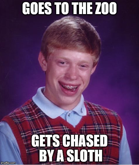 Bad Luck Brian | GOES TO THE ZOO; GETS CHASED BY A SLOTH | image tagged in memes,bad luck brian,zoo,animals,sloth | made w/ Imgflip meme maker