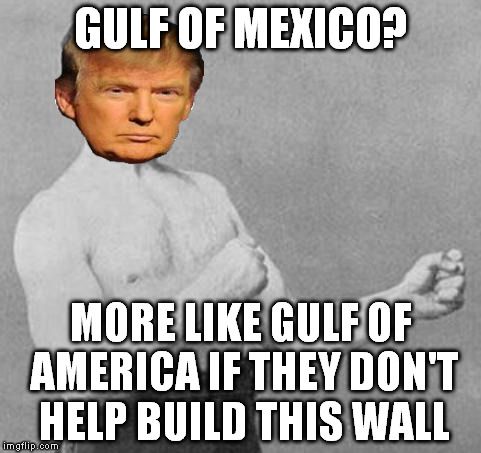 Chop! Chop! Or whatever they say in Mexico...I got a plane to catch...it's huge | GULF OF MEXICO? MORE LIKE GULF OF AMERICA IF THEY DON'T HELP BUILD THIS WALL | image tagged in overly manly man,memes,donald trump,the wall,illegal immigration | made w/ Imgflip meme maker
