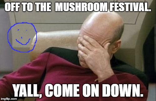 Captain Picard Facepalm | OFF TO THE  MUSHROOM FESTIVAL. YALL, COME ON DOWN. | image tagged in memes,captain picard facepalm | made w/ Imgflip meme maker