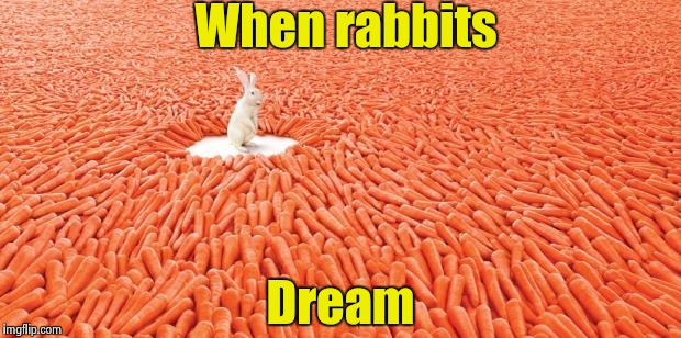 Field of dreams | When rabbits; Dream | image tagged in carrots | made w/ Imgflip meme maker