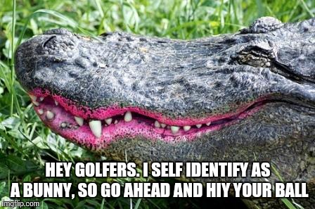 Gator Lipstick | HEY GOLFERS. I SELF IDENTIFY AS A BUNNY, SO GO AHEAD AND HIY YOUR BALL | image tagged in gator lipstick | made w/ Imgflip meme maker