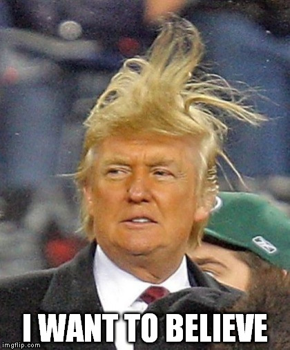 Trump hair | I WANT TO BELIEVE | image tagged in trump hair | made w/ Imgflip meme maker