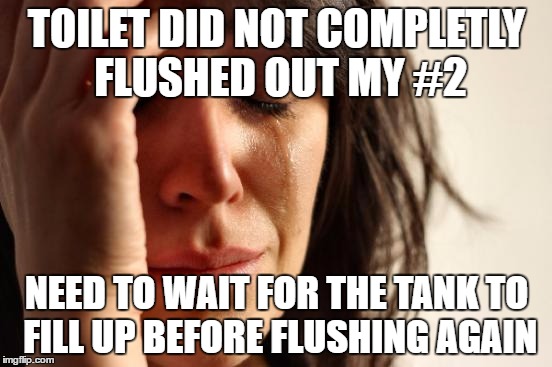 1st world problem with toilets | TOILET DID NOT COMPLETLY FLUSHED OUT MY #2; NEED TO WAIT FOR THE TANK TO FILL UP BEFORE FLUSHING AGAIN | image tagged in memes,first world problems,toilet | made w/ Imgflip meme maker