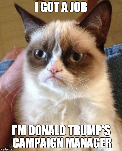 Grumpy Cat Meme | I GOT A JOB; I'M DONALD TRUMP'S CAMPAIGN MANAGER | image tagged in memes,grumpy cat | made w/ Imgflip meme maker
