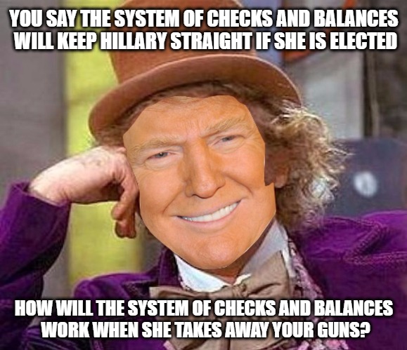 YOU SAY THE SYSTEM OF CHECKS AND BALANCES WILL KEEP HILLARY STRAIGHT IF SHE IS ELECTED; HOW WILL THE SYSTEM OF CHECKS AND BALANCES WORK WHEN SHE TAKES AWAY YOUR GUNS? | image tagged in willie trump | made w/ Imgflip meme maker