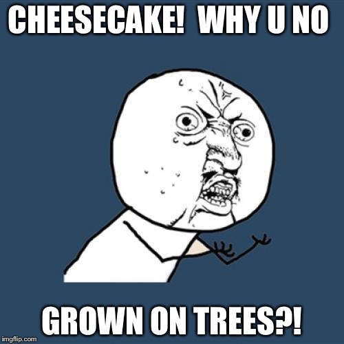 Y U No | CHEESECAKE!  WHY U NO; GROWN ON TREES?! | image tagged in memes,y u no | made w/ Imgflip meme maker