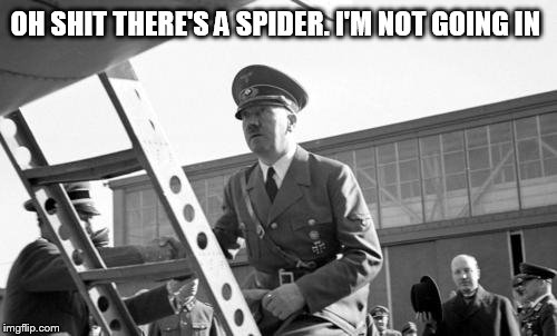 Hitler hates spiders | OH SHIT THERE'S A SPIDER. I'M NOT GOING IN | image tagged in hitler,memes,funny memes | made w/ Imgflip meme maker