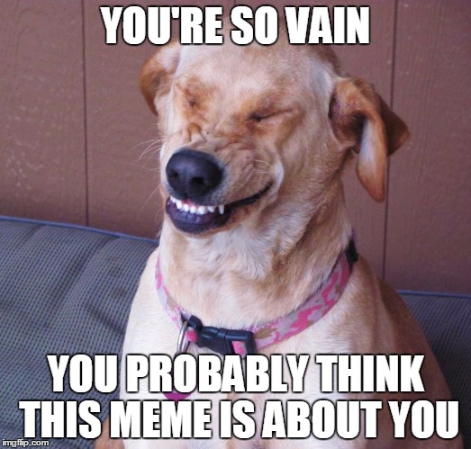 laughing dog | YOU'RE SO VAIN; YOU PROBABLY THINK THIS MEME IS ABOUT YOU | image tagged in laughing dog | made w/ Imgflip meme maker