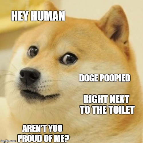 Doge | HEY HUMAN; DOGE POOPIED; RIGHT NEXT TO THE TOILET; AREN'T YOU PROUD OF ME? | image tagged in memes,doge | made w/ Imgflip meme maker