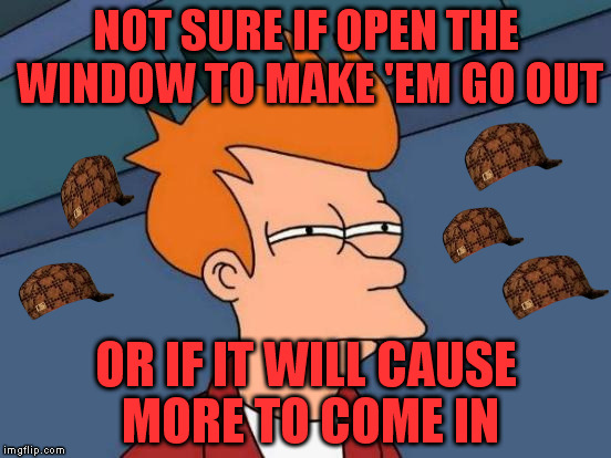 The eternal doubt. | NOT SURE IF OPEN THE WINDOW TO MAKE 'EM GO OUT; OR IF IT WILL CAUSE MORE TO COME IN | image tagged in memes,futurama fry,scumbag | made w/ Imgflip meme maker