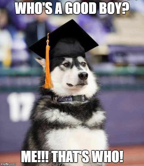 Graduate Dog | WHO'S A GOOD BOY? ME!!! THAT'S WHO! | image tagged in graduate dog | made w/ Imgflip meme maker