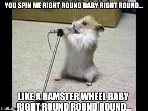 YOU SPIN ME RIGHT ROUND BABY RIGHT ROUND... LIKE A HAMSTER WHEEL BABY RIGHT ROUND ROUND ROUND... | made w/ Imgflip meme maker