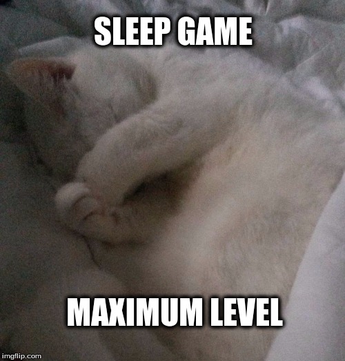 Sleep Game Maximum Level | SLEEP GAME; MAXIMUM LEVEL | image tagged in sleep game,max,level,sleep,sleepy cat,sleeping | made w/ Imgflip meme maker
