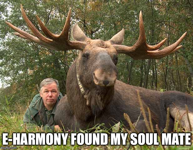 Moose | E-HARMONY FOUND MY SOUL MATE | image tagged in moose | made w/ Imgflip meme maker