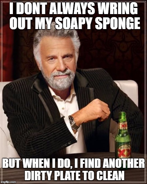 The Most Interesting Man In The World Meme | I DONT ALWAYS WRING OUT MY SOAPY SPONGE; BUT WHEN I DO, I FIND ANOTHER DIRTY PLATE TO CLEAN | image tagged in memes,the most interesting man in the world,AdviceAnimals | made w/ Imgflip meme maker