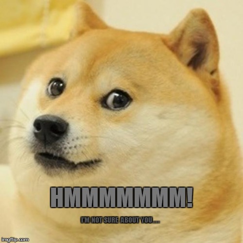 Doge Meme | HMMMMMMM! I'M  NOT  SURE   ABOUT  YOU . . . | image tagged in memes,doge | made w/ Imgflip meme maker