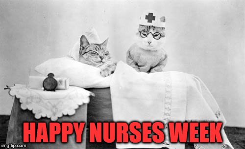 Cat Nurse | HAPPY NURSES WEEK | image tagged in cat nurse | made w/ Imgflip meme maker