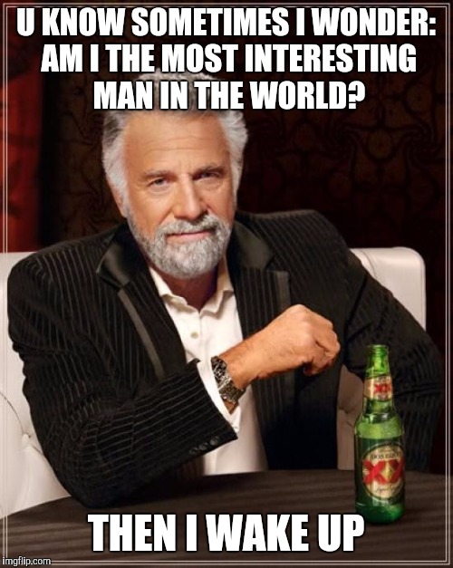 The Most Interesting Man In The World | U KNOW SOMETIMES I WONDER: AM I THE MOST INTERESTING MAN IN THE WORLD? THEN I WAKE UP | image tagged in memes,the most interesting man in the world | made w/ Imgflip meme maker