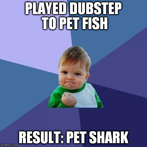 Success Kid | PLAYED DUBSTEP TO PET FISH; RESULT: PET SHARK | image tagged in memes,success kid,dubstep | made w/ Imgflip meme maker