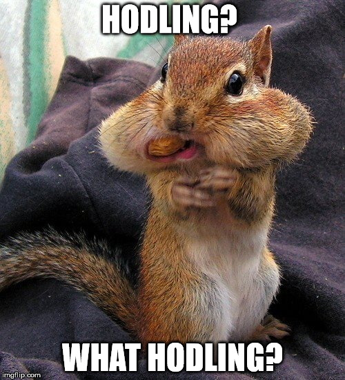 HODLING? WHAT HODLING? | image tagged in hodl,cryptocoin,squirrel,hodling | made w/ Imgflip meme maker