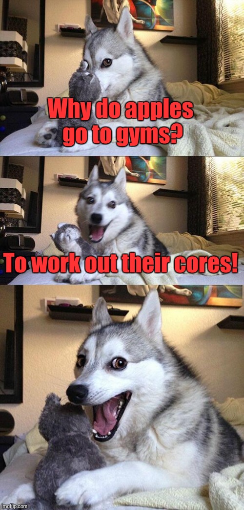 Bad Pun Dog |  Why do apples go to gyms? To work out their cores! | image tagged in memes,bad pun dog,apples,gyms,trhtimmy | made w/ Imgflip meme maker