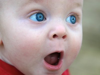 High Quality amazed baby Blank Meme Template