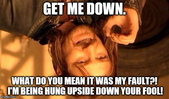 Upsidedown | GET ME DOWN. WHAT DO YOU MEAN IT WAS MY FAULT?! I'M BEING HUNG UPSIDE DOWN YOUR FOOL! | image tagged in memes,one does not simply | made w/ Imgflip meme maker