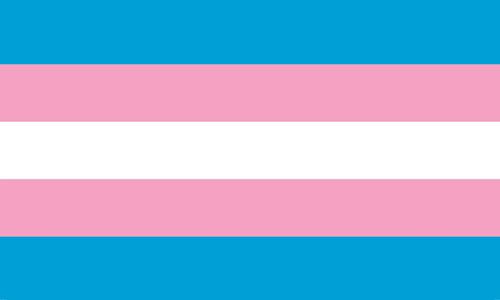 Transgender Flag Blank Meme Template
