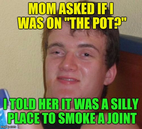 10 Guy Meme | MOM ASKED IF I WAS ON "THE POT?"; I TOLD HER IT WAS A SILLY PLACE TO SMOKE A JOINT | image tagged in memes,10 guy | made w/ Imgflip meme maker