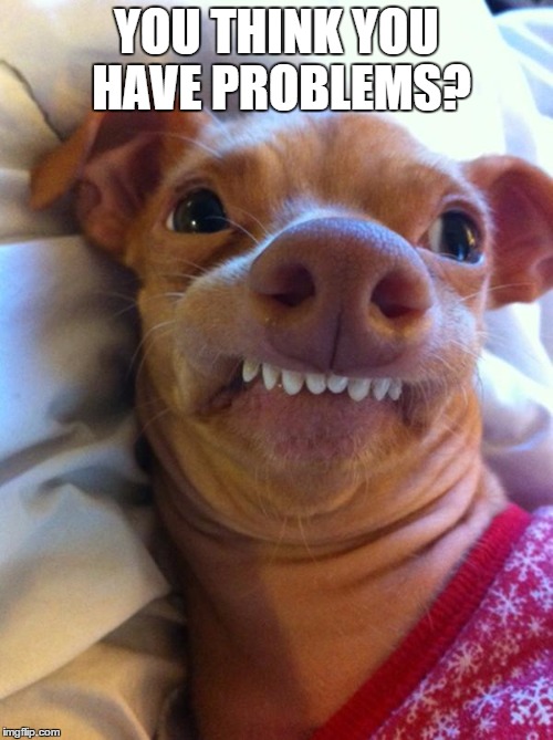 dog lisp | YOU THINK YOU HAVE PROBLEMS? | image tagged in dog lisp | made w/ Imgflip meme maker