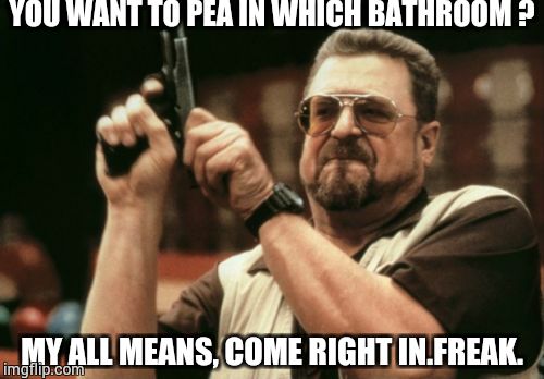 Am I The Only One Around Here Meme | YOU WANT TO PEA IN WHICH BATHROOM ? MY ALL MEANS, COME RIGHT IN.FREAK. | image tagged in memes,am i the only one around here | made w/ Imgflip meme maker