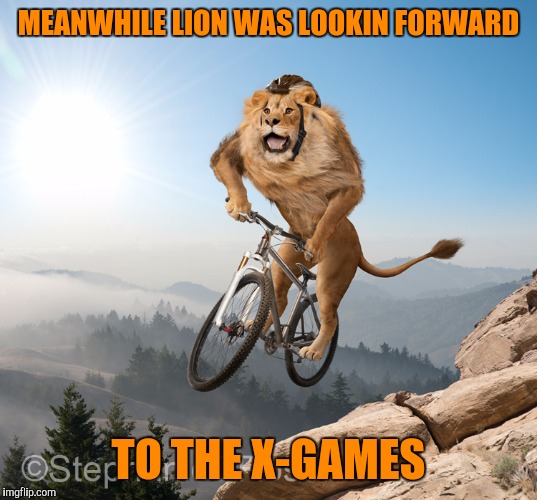 MEANWHILE LION WAS LOOKIN FORWARD TO THE X-GAMES | made w/ Imgflip meme maker