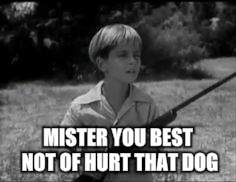 MISTER YOU BEST NOT OF HURT THAT DOG | made w/ Imgflip meme maker