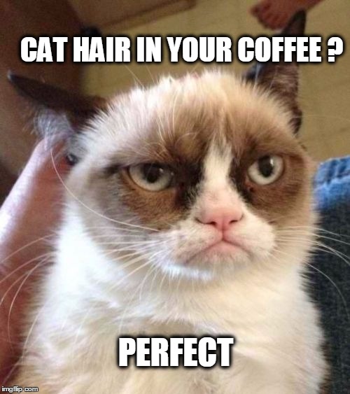 Grumpy Cat Reverse | CAT HAIR IN YOUR COFFEE ? PERFECT | image tagged in memes,grumpy cat reverse,grumpy cat | made w/ Imgflip meme maker