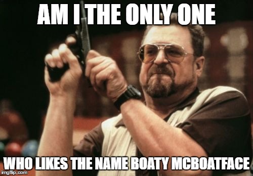 Am I The Only One Around Here | AM I THE ONLY ONE; WHO LIKES THE NAME BOATY MCBOATFACE | image tagged in memes,am i the only one around here | made w/ Imgflip meme maker