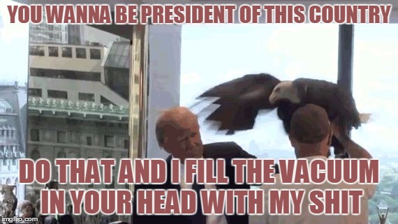 'murica bird trump | YOU WANNA BE PRESIDENT OF THIS COUNTRY; DO THAT AND I FILL THE VACUUM IN YOUR HEAD WITH MY SHIT | image tagged in 'murica bird trump,memes,nevertrump,angry birds,'murica,political | made w/ Imgflip meme maker
