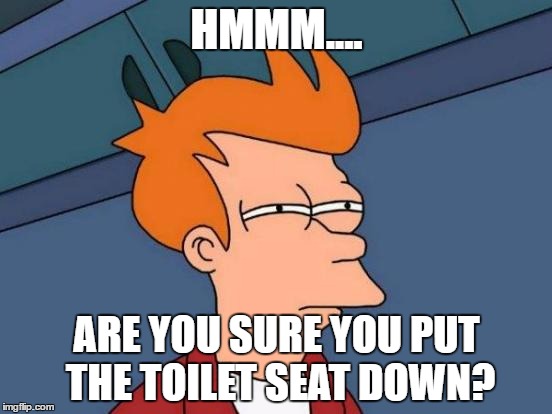 Girlfriends | HMMM.... ARE YOU SURE YOU PUT THE TOILET SEAT DOWN? | image tagged in memes,futurama fry | made w/ Imgflip meme maker