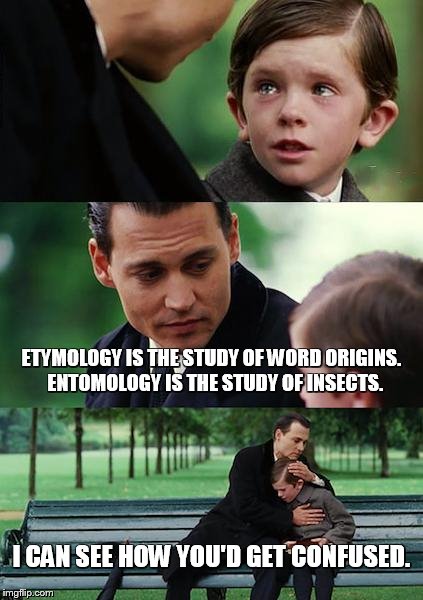 Finding Neverland Meme | ETYMOLOGY IS THE STUDY OF WORD ORIGINS.  ENTOMOLOGY IS THE STUDY OF INSECTS. I CAN SEE HOW YOU'D GET CONFUSED. | image tagged in memes,finding neverland | made w/ Imgflip meme maker