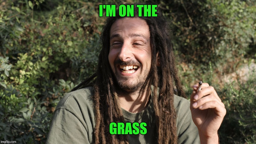 Get off the Lawn, Hippie | I'M ON THE; GRASS | image tagged in hippie | made w/ Imgflip meme maker