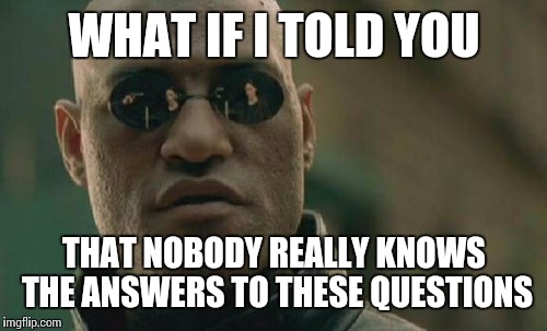 Matrix Morpheus Meme | WHAT IF I TOLD YOU THAT NOBODY REALLY KNOWS THE ANSWERS TO THESE QUESTIONS | image tagged in memes,matrix morpheus | made w/ Imgflip meme maker