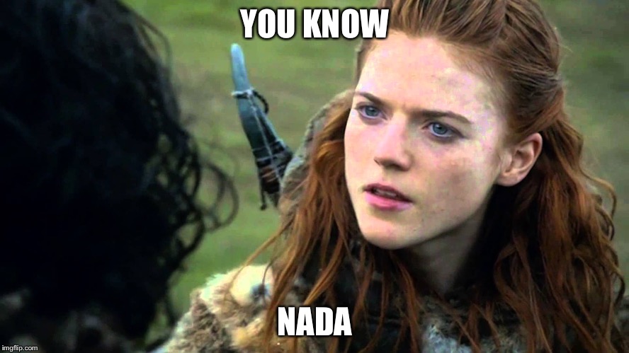 You know nothing Jon Snow | YOU KNOW NADA | image tagged in you know nothing jon snow | made w/ Imgflip meme maker