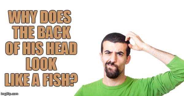 WHY DOES THE BACK OF HIS HEAD LOOK LIKE A FISH? | made w/ Imgflip meme maker