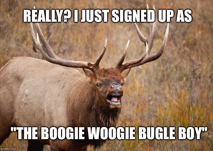 REALLY? I JUST SIGNED UP AS "THE BOOGIE WOOGIE BUGLE BOY" | made w/ Imgflip meme maker