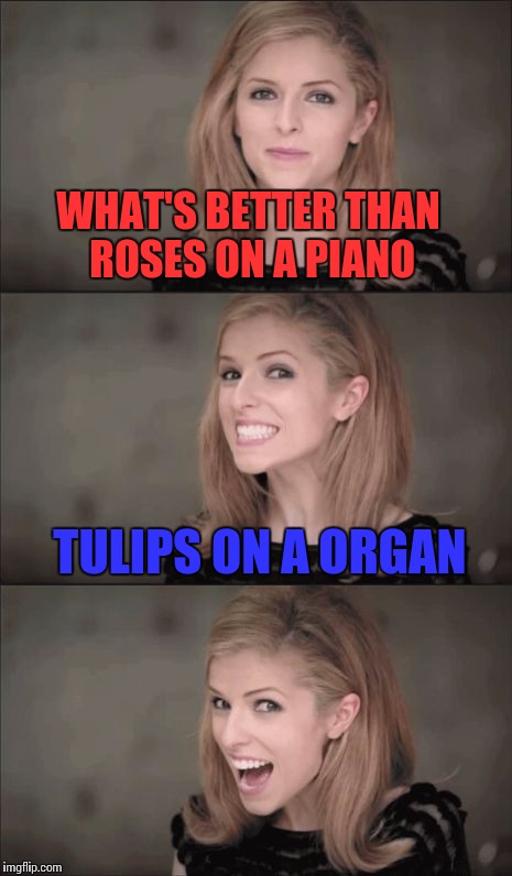 Bad Pun Anna Kendrick Meme | WHAT'S BETTER THAN ROSES ON A PIANO; TULIPS ON A ORGAN | image tagged in memes,bad pun anna kendrick | made w/ Imgflip meme maker